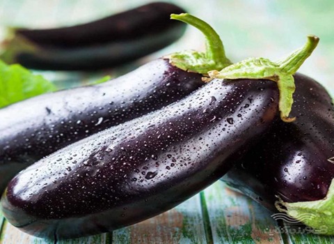 تصویر 3 از قیمت خرید بادمجان گلخانه ای + فروش ویژه